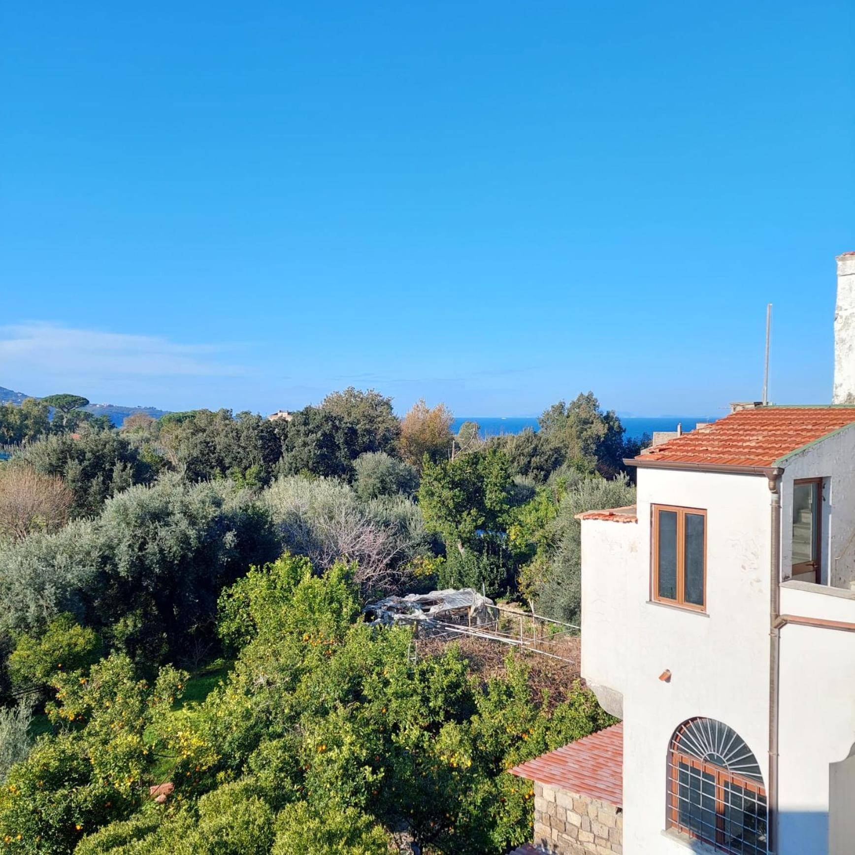 Il Giardino Dei Gigli Apartamento Meta Exterior foto