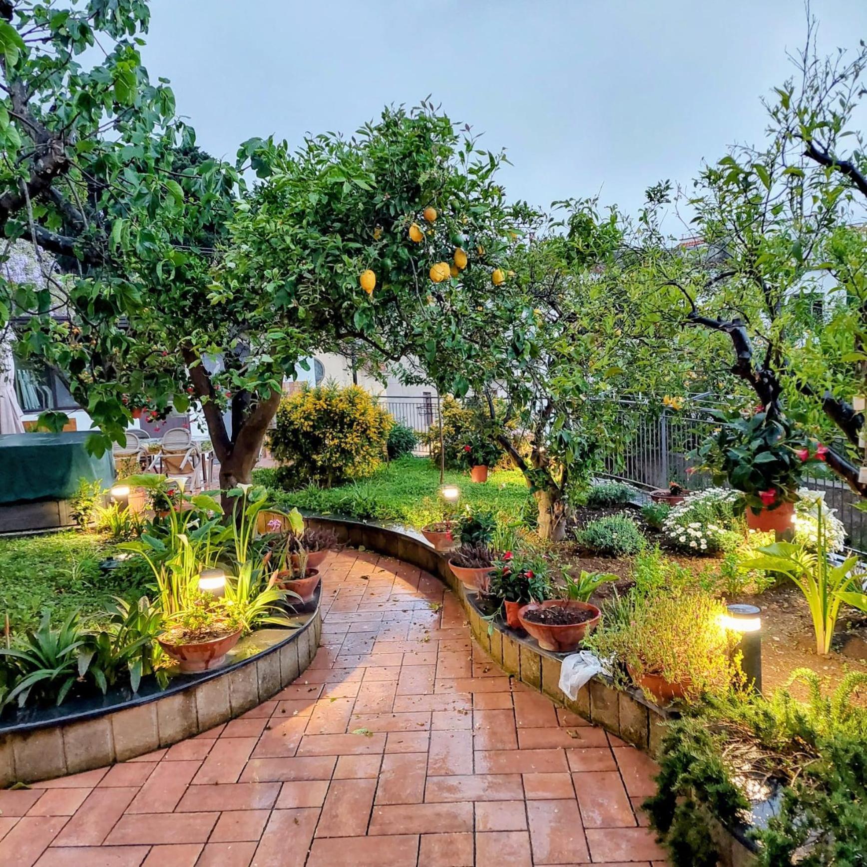 Il Giardino Dei Gigli Apartamento Meta Quarto foto