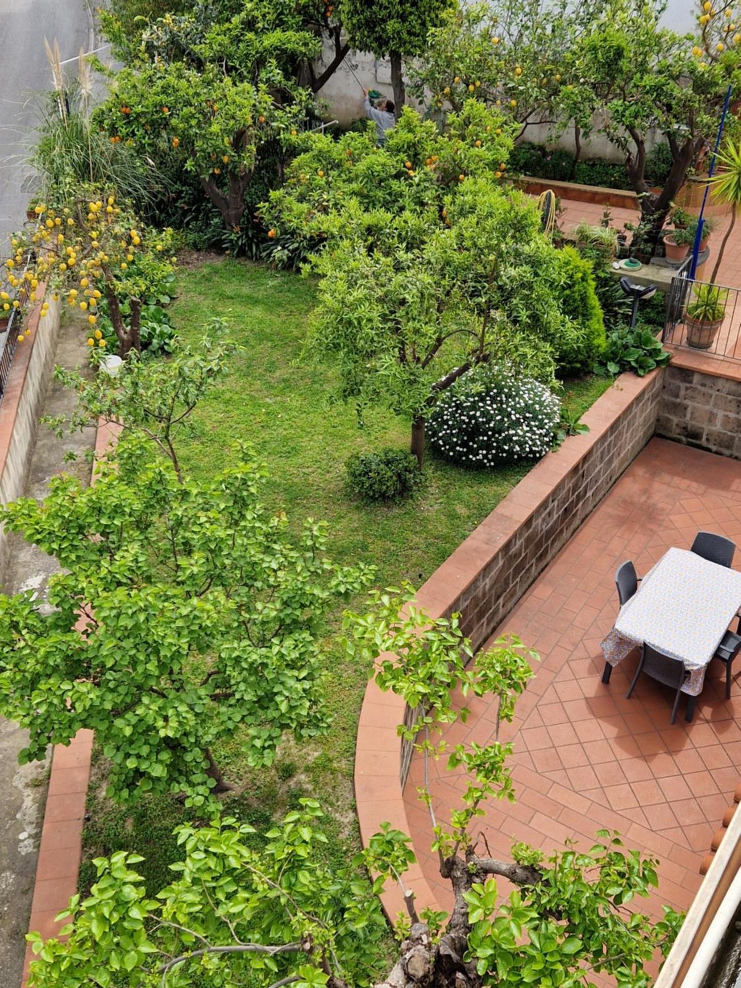 Il Giardino Dei Gigli Apartamento Meta Exterior foto