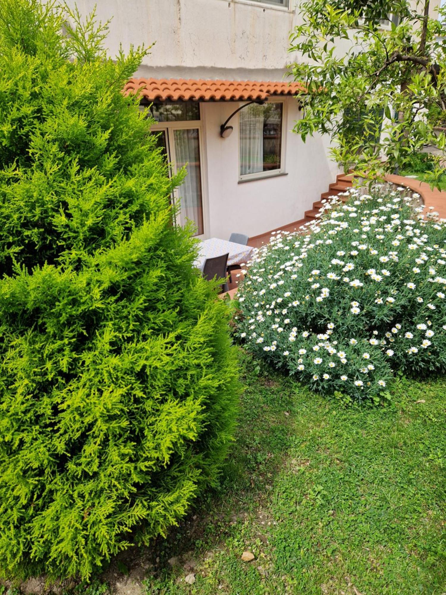 Il Giardino Dei Gigli Apartamento Meta Exterior foto