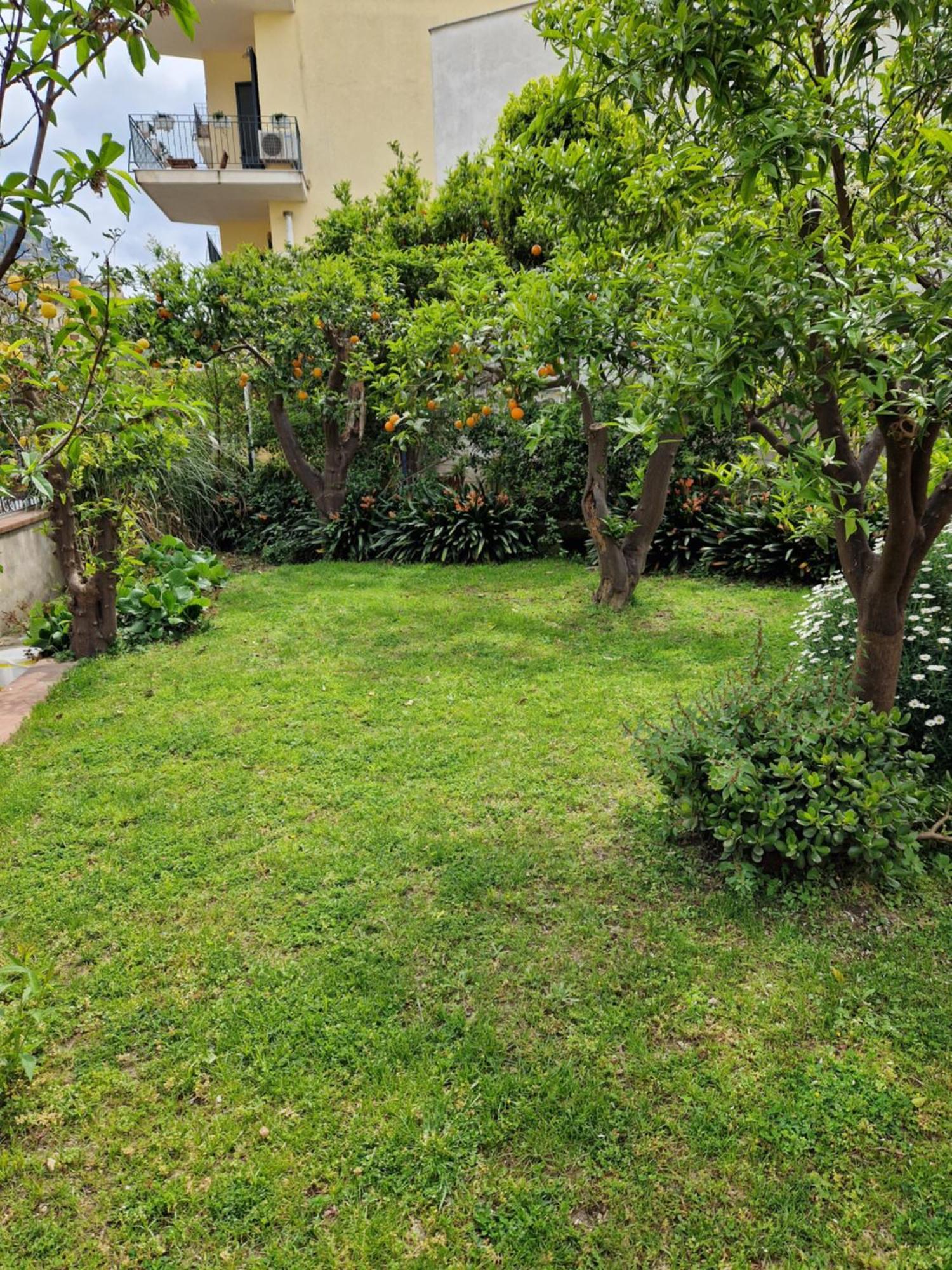 Il Giardino Dei Gigli Apartamento Meta Exterior foto